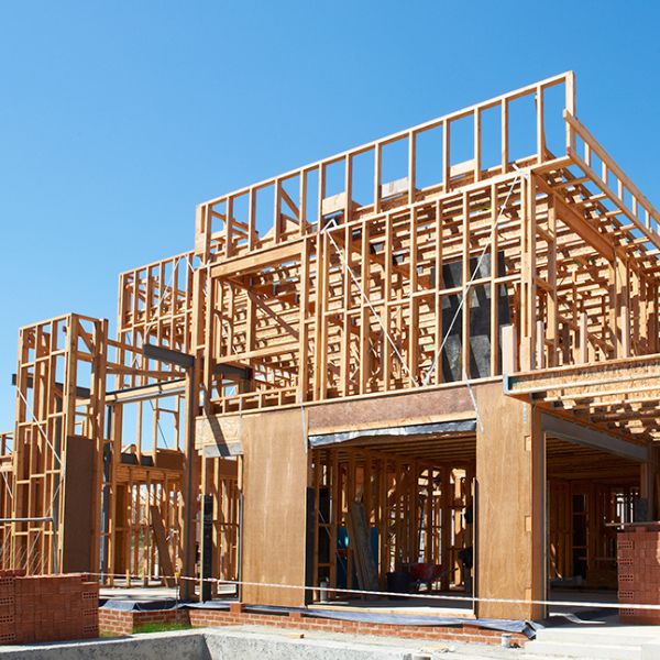 framing timber options