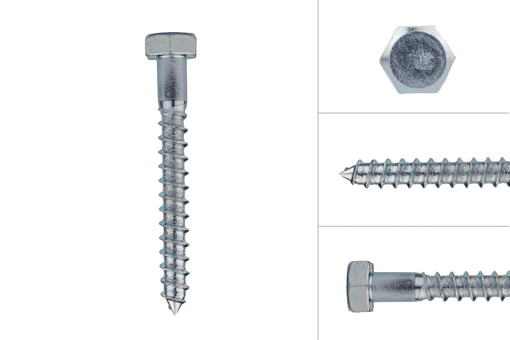 COACH SCREW GAL M10X40